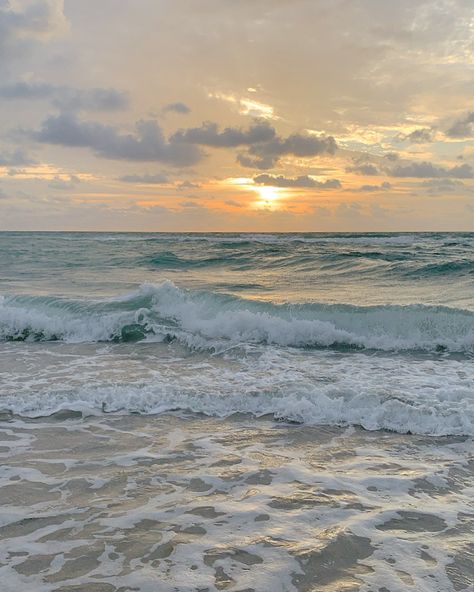 #florida #hollywood #palmtrees #summer #bliss #beachvibes #summertime #travel #beach #summervacation #explore #nature #photography Beach Horizon, Sea Vibes, Bright Palette, Aesthetic Sea, Daughter Of Poseidon, Hollywood Beach, Marine Painting, Waves Ocean, Beyond The Sea