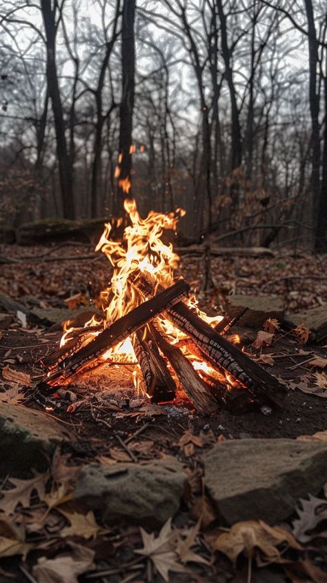 How to make a campfire: Stack the logs like tik tac toe, then place this fire starter i linked below them. Light it, and ta da! You've got a fire. This way makes the logs much more breathable! Camping Fire Aesthetic, Natural Wood Fireplace, Fire In The Woods, Van Life Aesthetic, Fire Camp, Camp Fires, Brand Moodboard, Log Fire, Fire Wood