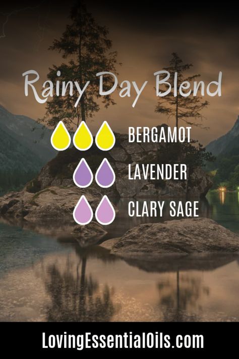 10 Rainy Day Diffuser Blends - Best Rain Essential Oils Rainy Day Essential Oil Blend, Bedroom Essential Oil Blends, Rainy Day Diffuser Blend, Rainy Day Diffuser Blends, Pioneer Living, Diffuser Scents, Perfume Blends, Diffuser Diy, Scent Blends