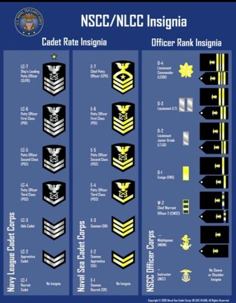 Navy Officer Ranks, Officer Party, Sea Cadets, Coast Guard Auxiliary, Navy Training, Chief Officer, Sight Words Printables, Military Ranks, Chief Petty Officer