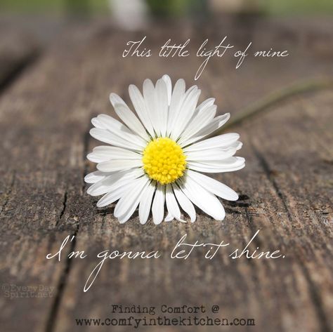 Shine on! #lifequotes Daisy Flower Quotes, Flower Quotes Short, Ttc Quotes, Daisy Quotes, Quotes Flower, Peace Light, Bear Quote, Birds In The Sky, Daisy Girl