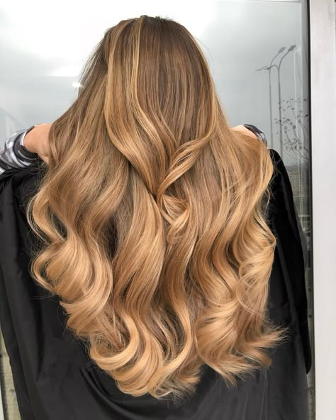 Light Golden Brown Hair Color: What It Looks Like & 17 Trendy Ideas Light Golden Brown Hair Color, Caramel Blonde Hair Color, Light Golden Brown Hair, Caramel Blonde Hair, Golden Brown Hair Color, Rambut Brunette, Golden Brown Hair, Hair Color Caramel, Vlasové Trendy