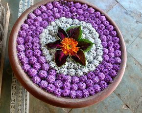 flowers arranged in bowl of water- traditional decoration for auspiciousness - loved & pinned by www.omved.com Flower Bowl Decoration, Uruli Flower Decoration, Water Rangoli, Urli Decor, Floral Rangoli, Wedding Embroidery Hoop, Traditional Decoration, Ganesh Chaturthi Decoration, Pooja Decoration