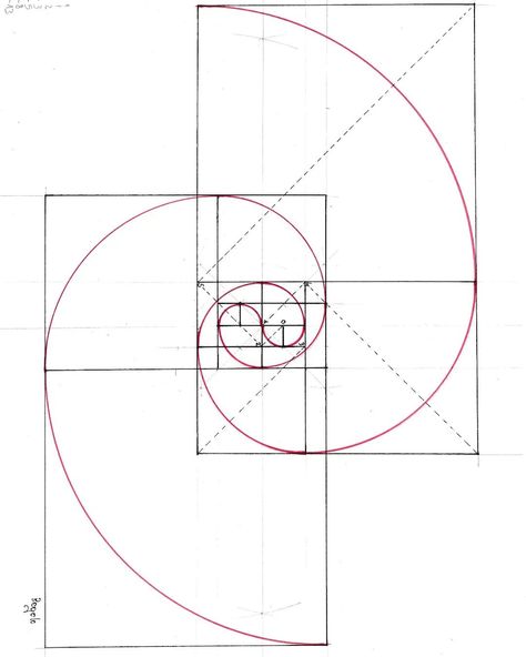 Fibonacci Architecture, Fibonacci Art, Golden Ratio In Design, Divine Proportion, Geometry In Nature, Sacred Geometry Patterns, Geometric Origami, Sacred Geometry Art, Art Basics