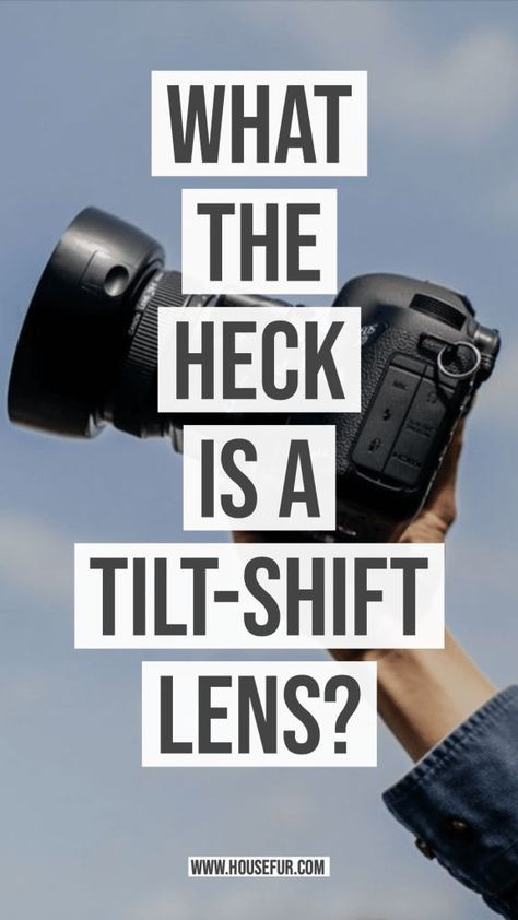 What the Heck is a Tilt-Shift Lens? | House Fur Tilt Shift Lens, Dog Treats Homemade Recipes, Photography Advice, Modern Photographers, Tilt Shift, House Plant Care, What The Heck, Dog Treat Recipes, Family Photo Sessions