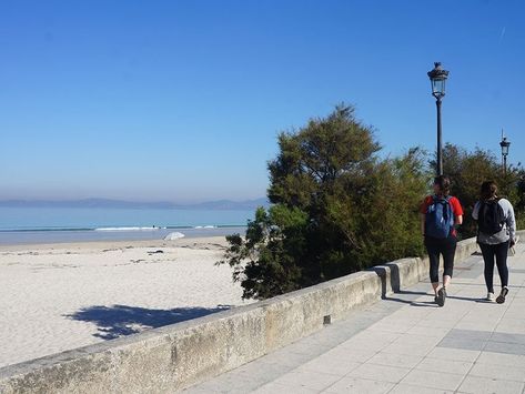 Easy Camino Portugues Coastal From Vigo to Santiago Camino Trail, Camino Routes, Hiking Trips, The Camino, Service Trip, Fishing Villages, Hiking Trip, Walkers, Travel Fun