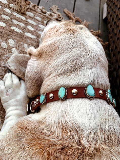 Turquoise Pet Collar - Turnback Pony ™ - Pet Collars & Harnesses Turquoise Aesthetic Western, Dog Collar Aesthetic, Collar Aesthetic, Turquoise Dog Collar, Western Dog Collars, Boy Dog Clothes, Turquoise Aesthetic, Aesthetic Western, Cowgirl Accessories