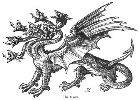 hydra dragon - Google Search                                                                                                                                                                                 More Hydra Monster, Etching Tattoo, Charmed Book Of Shadows, Mythical Beast, 1 Tattoo, Legendary Creature, Mythological Creatures, Medieval Art, Dragon Tattoo