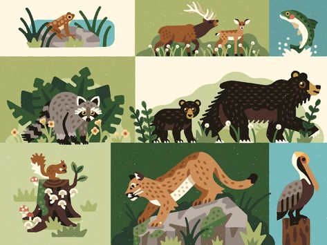 Oregon Park Animals Animal Infographic, Vintage Illustration Art, Picture Books Illustration, Animal Habitats, Illustrator Artist, Animal Graphic, Spinning Wheel, Wildlife Animals, Animal Figures