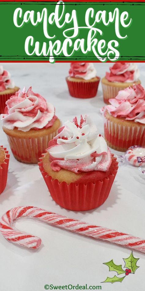 Festive red and white cupcakes flavored with a hint of peppermint for seasonal fun. Red And White Cupcakes, Candy Cane Cupcakes, Peppermint Cupcakes, Christmas Cupcakes Recipes, Cinnamon Cupcakes, Boozy Cupcakes, Christmas Dessert Table, Cupcake Mix, Easy Cupcake Recipes