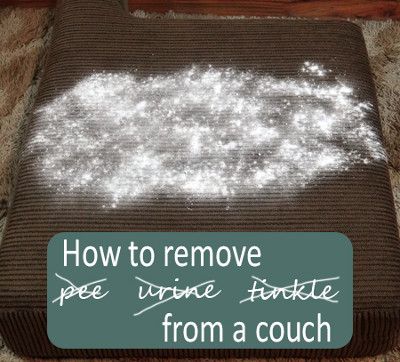 Best solution to remove pee & urine from a couch or mattress, whether wet or dry, use natural ingredients. Quickly & easily remove the stain & odor! Clean Microfiber Couch, Microfiber Couch, Homemade Toilet Cleaner, Clean Baking Pans, Cleaning Painted Walls, Glass Cooktop, Deep Cleaning Tips, Pet Urine, Clean Dishwasher