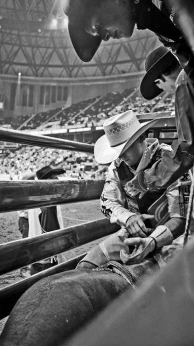 Rhett Eaton, Pbr Bull Riders, Up Wallpaper, Cowboys And Angels, Western Pleasure Horses, Barrel Racing Saddles, Elsie Silver, Bronc Riding, Cowboy Quotes