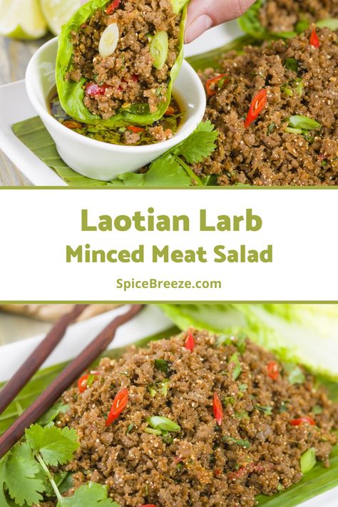 Laotian Larb This simple fresh dish is a specialty from Laos and one of our summer favorites. Larb or laap is an aromatic sour-salty salad with raw or cooked ground meat. We go with the latter and an exotic blend of lemongrass, amchoor (green mango), and dried herbs. We recommend adding fresh herbs for an extra burst of flavor. It's best with rice and unseasoned salad. Larb Salad, Larb Recipe, Raw Cauliflower, Fresh Dishes, Green Mango, Meat Seasoning, Meat Salad, Lettuce Cups, How To Cook Mushrooms