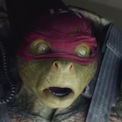 Tmnt Reaction Image, Tmnt Bayverse Raphael, Cursed Tmnt Images, Bayverse Raphael, Bayverse Raph, Tmnt Screenshots, Bayverse Tmnt, Tmnt Bayverse, Tmnt 2016