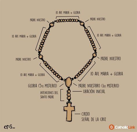 Aquí te contamos cómo rezar el rosario. Si eres principiante puedes empezar por rezar un misterio al día hasta que logres completarlo todo. Rosary For Kids, Praying The Rosary Catholic, Rosary Prayers Catholic, Saying The Rosary, Our Father Prayer, Catholic Beliefs, Praying For Others, Tiny Necklace, Spiritual Prayers