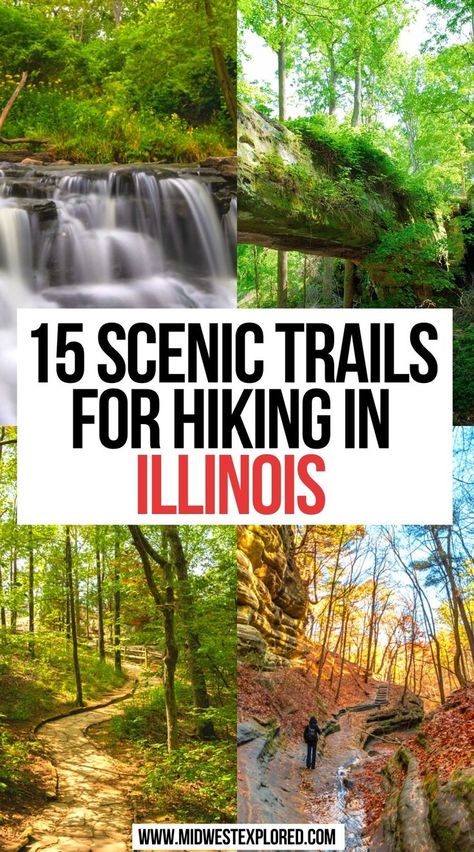 15 Scenic Trails for Hiking in Illinois Things To Do In Illinois, Bucket List Places To Visit, Illinois State Parks, Carribean Travel, Bucket List Places, Travel Places To Visit, Midwest Road Trip, Illinois Travel, Outdoor Date