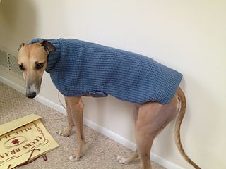 Whippets and Greyhound Sweaters pattern by Sandra Polley Greyhound Jumper Pattern, Greyhound Knitting Pattern Free, Greyhound Coat Pattern, Greyhound Dog Sweater, Dog Jumper Pattern, Dog Jumper Knitting Pattern, Knitted Coat Pattern, Grey Hound, Jumper Pattern