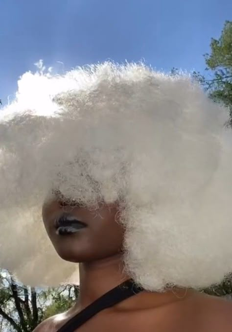 White Coily Hair, White Hair On Dark Skin, White Afro Hair Black Women, Black Women With White Hair, Black Skin White Hair, White Hair Afro, White Afro Hair, Curly White Hair, White Hair Dark Skin