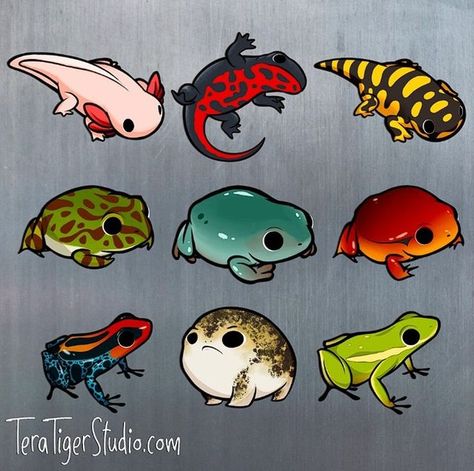 Grey Tree Frog, Tomato Frog, Horned Toad, Tiger Salamander, Rain Frog, Green Tree Frog, Logo Animal, Frog Drawing, Salamanders