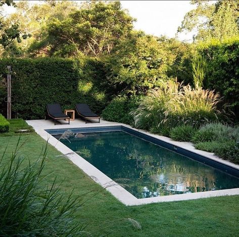 Small Luxury Backyard, Small Garden Pool, Small Outdoor Pool, Small Backyard Pool Ideas, Small Backyard Pool, Backyard Pool Ideas, Eco Outdoor, Pool Ideas On A Budget, Simple Pool