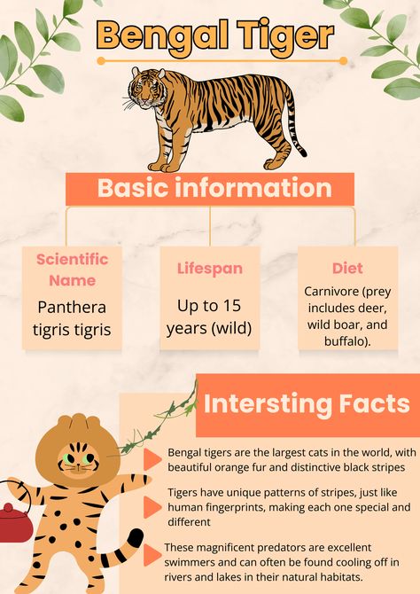 Animal infographic series#allaboutanimal#Animal#Tiger Tiger Species, Animal Infographic, Bengal Tiger, Animals Wild, Collage, Animals, Pins, Quick Saves