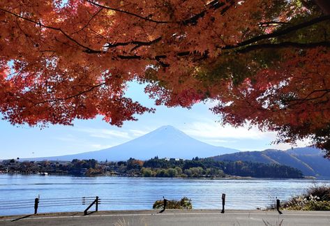 Lake Kawaguchiko, Japan Photo, Lake, Japan, Water