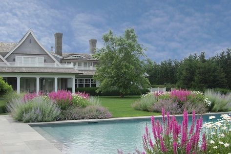 Hamptons Style Garden, Hamptons Landscaping, Hamptons Garden Landscaping, Hamptons Garden, Hampton Garden, Natural Fence, Pool Landscape Design, Farmhouse Garden, Rock Garden Landscaping