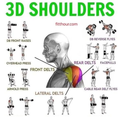 Shoulder Day Workout, Shoulder Workout Routine, Workout Gym Routine, Gym Workout Guide, Workout Program Gym, Latihan Dada, Gym Workout Planner, Shoulder Exercises, Bodybuilding Workout Plan