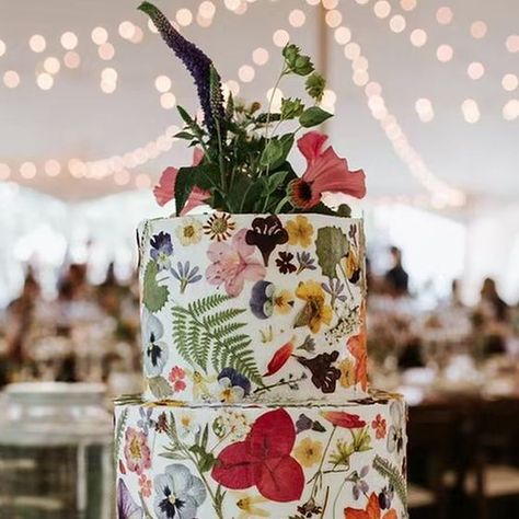 Pressed Flower Cake, Wildflower Wedding Cake, Wildflower Cake, Wedding Cakes Ideas, Sitting On The Edge, Wedding Cake Ideas, Rustic Outdoor Wedding, Modern Wedding Cake, Everything Goes