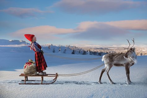 Northern Lights Ranch, Sled Ride, Finland Travel, Lapland Finland, Winter Szenen, I Love Winter, Winter Beauty, Sleigh Ride, Winter Wonder