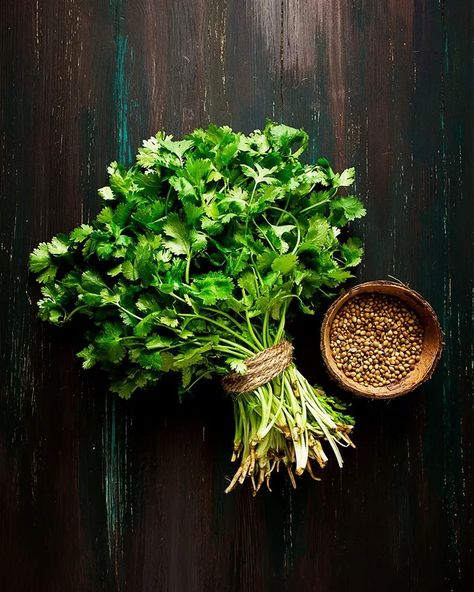 Every part of the coriander plant – from root to leaf – can be used in cooking (Credit: Galina Loginova/Getty Images) Corriander Plant, Indigestion Remedies, Indian Spice Box, Vegetable Salads, Vegetable Salad Recipes, Slow Cooked Meat, Stew Chicken Recipe, Garden Vegetable, Plant Tattoo