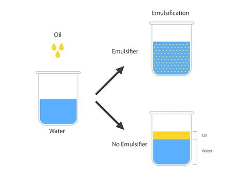 Vector emulsion a mixture of two immisci... | Premium Vector #Freepik #vector #water #background #glass #industry Oil In Water, Water Background, Oil And Water, Beakers, Oil Water, In Water, Vector Photo, Premium Vector, Social Media