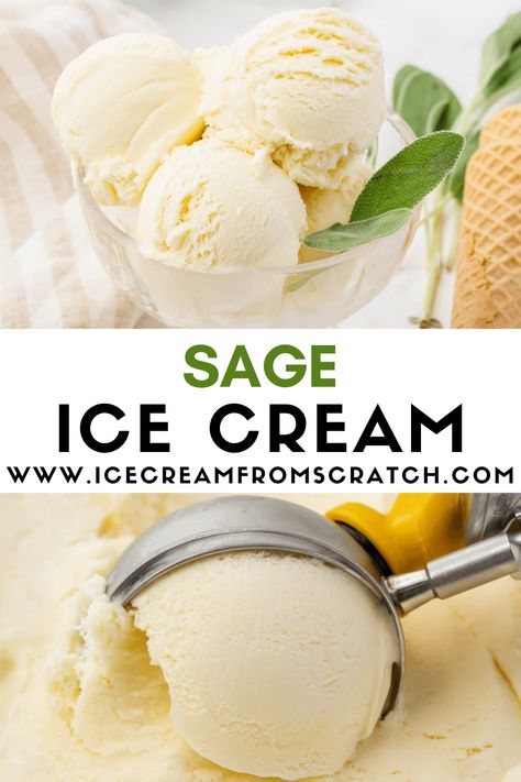 The peppery, earthy, herbaceous flavor of fresh sage is lightly infused into a creamy, sweet, vanilla base in this recipe for homemade Sage Ice Cream. Cake Flavored Ice Cream, Mojito Ice Cream, Odd Ice Cream Flavors, Sage Ice Cream, Savory Ice Cream Recipes, Salt And Straw Ice Cream Recipe, Vanilla Ice Cream Dessert Ideas, Unique Ice Cream Flavors Recipes, Pear Ice Cream