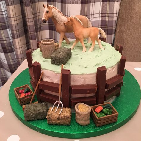 Easy Horse Birthday Cake, Cake With Horses Birthday, Horse Birthday Cake Boy, Birthday Cake Horse Theme, Horse Theme Birthday Cake, Horse Cakes For Girls Birthday Parties, Horse Themed Birthday Cake, Easy Horse Cake, Horse Cakes Birthday