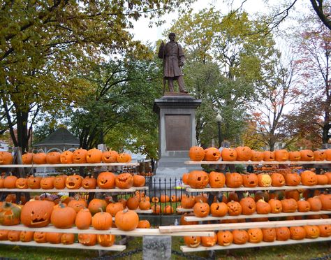 8 Amazing Pumpkin Displays You Have to See to Believe Pumpkin Sale Display, Pumpkin Sale Stand, Pumpkin Display Ideas Outside, Pumpkin Displays Retail, Pumpkin Stand Ideas, Pumpkin Displays Outside, Pumpkin Display Ideas, Outdoor Pumpkin Decor, Halloween Outdoors