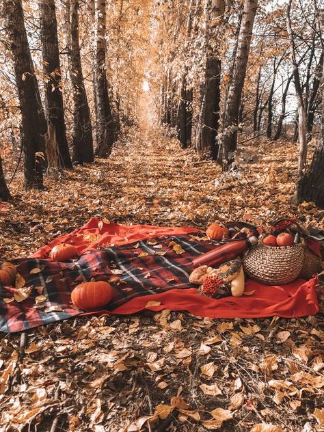 Fall Family Photo Props, Fall Mini Sessions Set Up Outdoor, Fall Mini Sessions Set Up, Fall Picnic Photoshoot, Fall Photoshoot Setup Ideas, Fall Photography Props, Autumn Family Photoshoot, Fall Mini Shoot, Fall Date Night Outfit