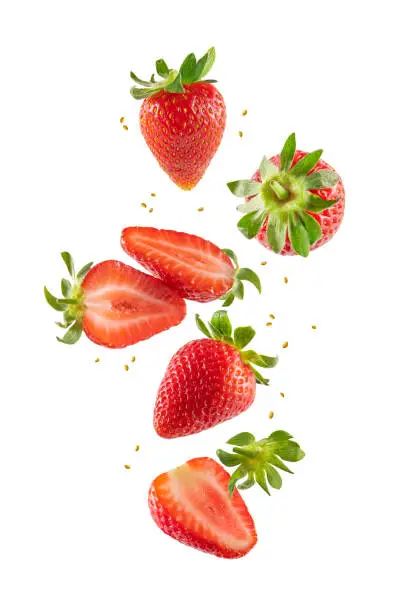 Strawberry Fruit Red - Free photo on Pixabay - Pixabay Strawberry White Background, Strawberry Photography, Fruit White Background, Fruit Stock Photo, Strawberry Fruit Photography, Strawberry Stock Photo, Plant Reference, 귀여운 음식 그림, Minute Maid