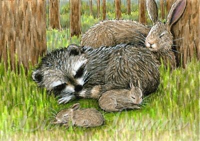 L Dumas | Raccoon and Rabbit Painting Slate, Raccoon Drawing, Painted Slate, Trash Panda, Cute Wild Animals, Woodland Animals, Items For Sale, Card Art, Animals Wild