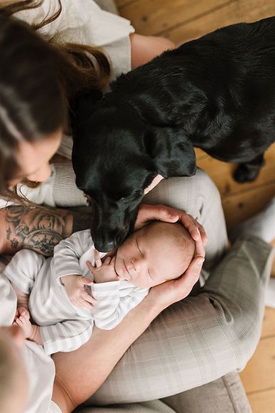 dog with newborn baby at home Newborn And Dog Pictures, Dog Newborn Photography, Newborn And Dog Photos, At Home Newborn Pictures With Dog, Dog Newborn Pictures, Newborn Family Photos Dog, Newborn Home Photoshoot With Dog, Newborn Lifestyle Photography At Home With Dog, Newborn Family Photos At Home With Dog