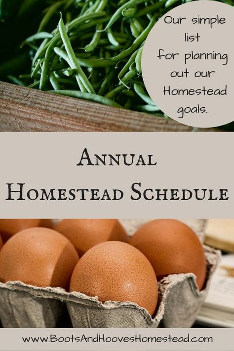 The Prairie Homestead, Prairie Homestead, Modern Homesteading, Homesteading Ideas, Homesteading Diy, Homestead Farm, Homesteading Skills, Homestead Living, Urban Homesteading