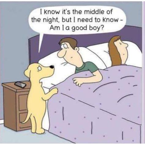 Dog Memorial Quotes, Love Makes A Family, Memorial Quotes, Good Morning Funny Pictures, Spoiled Dogs, Funny Cartoon Pictures, Best Friend Love, Good Morning Funny, Funny Images Laughter