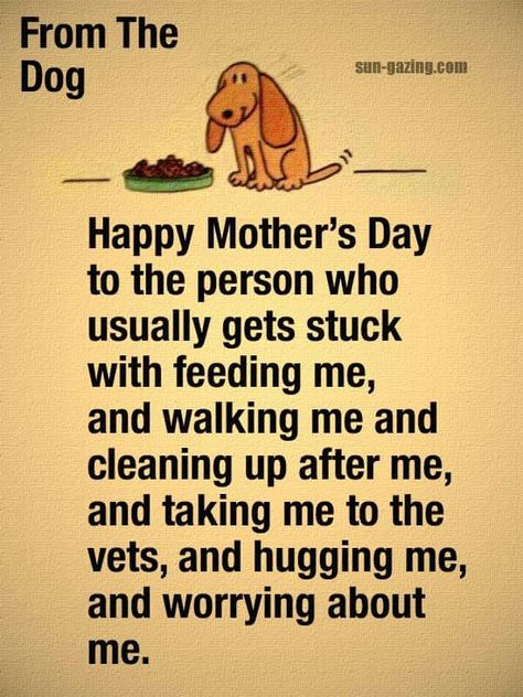 Happy Mother's Day from the Dog Dog Poems, Memorial Ideas, Sun Dogs, Love My Dog, Family Birthday, Mors Dag, Dog Sitting, Animal Quotes, Dog Quotes