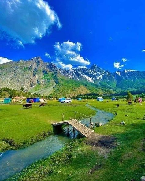 #northern #valley #pakistan #photography #photooftheday #phoot #aesthetic #beauty #photo #photoshoot #aesthetic Basho Valley, Pakistan Cities, Pakistan Photography, Hunza Valley, Azad Kashmir, Pakistan Travel, Photoshoot Aesthetic, Skardu Pakistan, Gilgit Baltistan