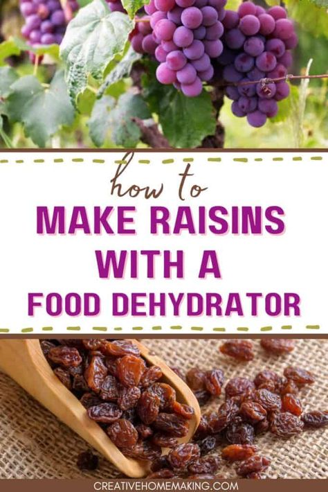 Homemade Raisins, Food Dehydrator Recipes, Homemade Grape Juice, How To Make Raisins, Grape Recipes, My Favorite Food, Food Dehydrator, Electric Foods, Dehydrated Food