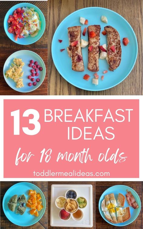 A list of 18 month old toddler breakfast ideas based on what my toddler has been eating this month! I’ll be the first to admit that breakfast is not my favorite meal of the day to spend time in the kitchen preparing an elaborate meal. But, there are some ways to feed your toddler a quick and nutritious breakfast without a lot of time and effort. Toddler Breakfast Ideas, 12 Month Baby Food, Easy Toddler Lunches, Toddler Meal Ideas, Baby Breakfast, Easy Toddler Meals, Toddler Dinner, Toddler Breakfast, Toddler Lunches