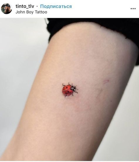 Little Bug Tattoo, Love Bug Tattoo, Ladybird Tattoo, Ladybug Tattoo, Small Tattoos For Women, Lady Bug Tattoo, Insect Tattoo, Bug Tattoo, Handpoke Tattoo