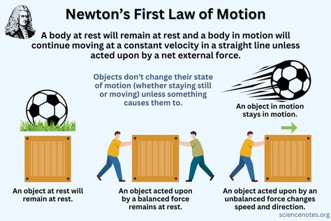 Newton's First Law of Motion Newton's First Law Of Motion, Physics Problems, Cell Diagram, Learn Physics, Holiday Science, Chemistry Worksheets, Philosophy Of Science, Modern Physics, Properties Of Matter