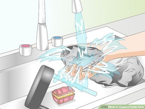 3 Ways to Clean a Turtle Tank - wikiHow Turtle Care, Turtle Habitat, Aquatic Turtles, Turtle Tank, Pet Clinic, Safe Water, Exotic Animals, Clean Towels, Once A Month