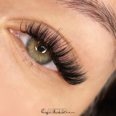 Single Lash Extensions, Feather Eyelashes, Natural Fake Eyelashes, Best Lash Extensions, Lashes Fake Eyelashes, Lash Extensions Styles, Perfect Eyelashes, Pretty Lashes, Natural Eyelash Extensions