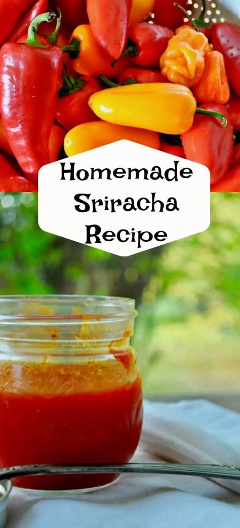 Sriracha Sauce Homemade, Homemade Sriracha Sauce Recipe, Sriracha Recipe, Make Hot Sauce, Sriracha Sauce Recipe, Homemade Sriracha, Sriracha Recipes, Homemade Ingredients, Homemade Beef Jerky